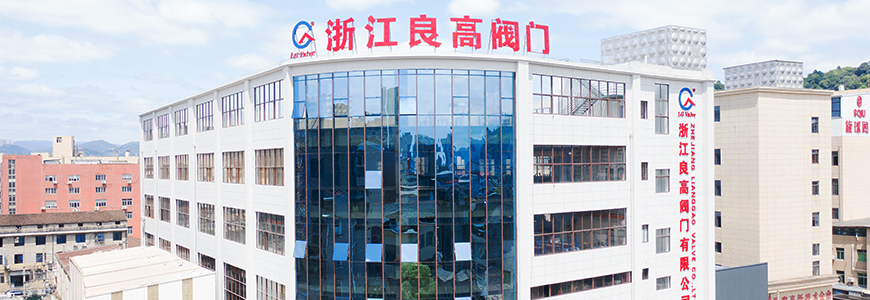 Company Overview