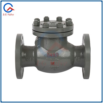 Swing Check Valve